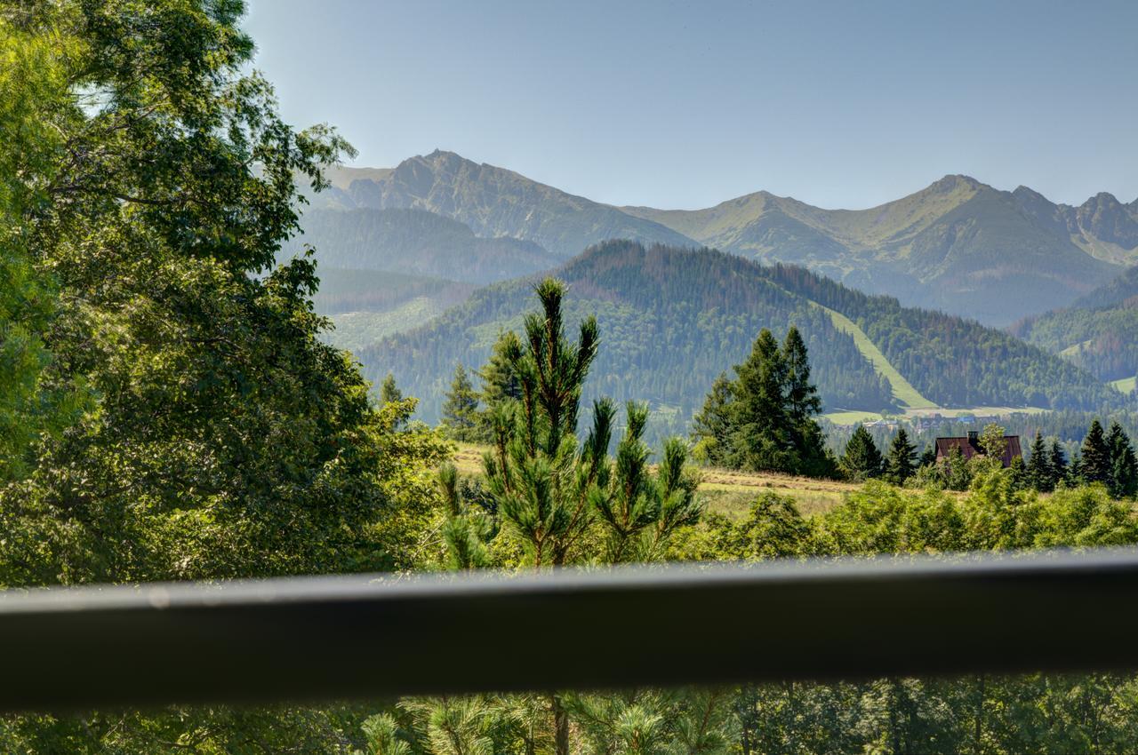 Apartamenty Willa Olsza Wood House & Mountain View & Sauna Zakopane Esterno foto